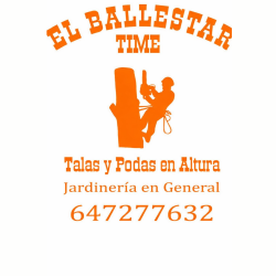 Avatar de usuario