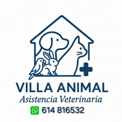 Avatar de usuario